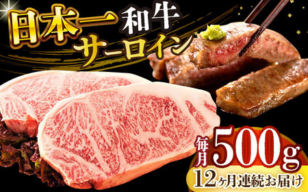 【12回定期便】A4-A5 長崎和牛 サーロインステーキ 250g×2【株式会社 MEATPLUS】 サーロイン サーロインステーキ サーロイン 和牛ステーキ [DBS088]