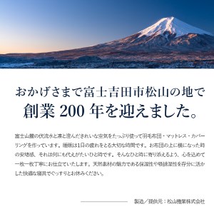  本掛けの羽毛布団セミダブル青雀色　ポーランド産400dpグース【ダニ忌避率98.8％】 羽毛布団 寝具 肌布団 肌掛け布団 掛けふとん 布団 掛布団 シングル布団 ふとん  羽毛布団