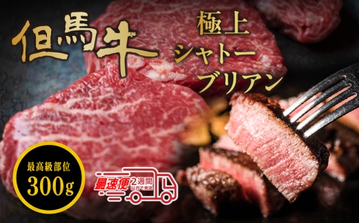 〈スピード出荷〉但馬牛 黒毛和牛 シャトーブリアン ブロック 150g × 2枚 300g 但馬牛 シャトーブリアン ヒレ 高級和牛 シャトーブリアン ギフト 肉 小分け 冷凍 大容量