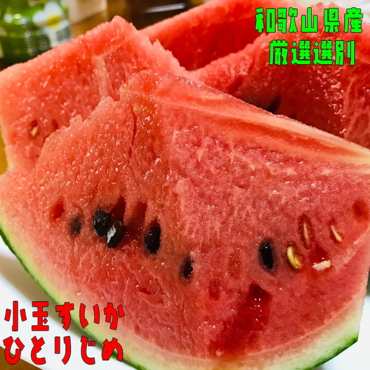 【先行予約】厳選！小玉すいか『ひとりじめ』　1玉入り ※着日指定不可 ※北海道・沖縄・離島への配送不可 ※2024年6月上旬～下旬頃に順次発送予定