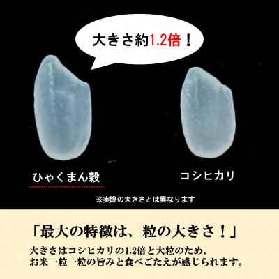 ふるさと納税 能美市 【日本農業賞大賞】令和7年産ひゃくまん穀3kg精白米 |  | 03
