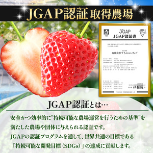 ぎっしり とちあいか 約1.2kg 大粒(サイズ不揃い)