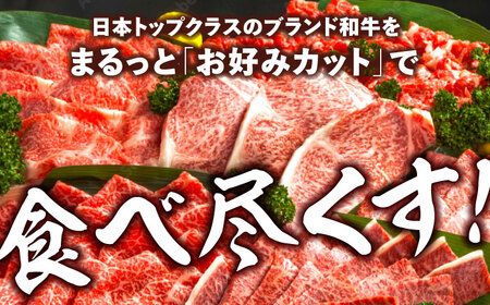 【一頭丸ごとオーダー！】 A5 佐賀牛 一頭食べ尽くしセット 黒毛和牛 オーダーカット 吉野ヶ里町/株式会社MEAT PLUS[FDB066]