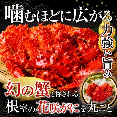 ふるさと納税 根室市 【北海道根室産】花咲かに700g×2尾(計1.4kg) F-20013 |  | 01