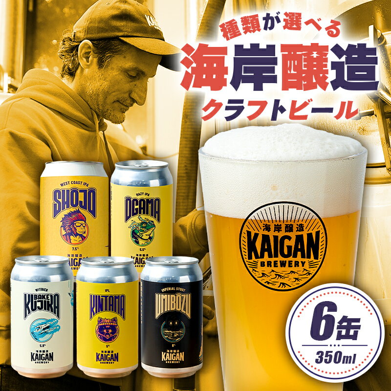 【ふるさと納税】【種類が選べる】海岸醸造 クラフトビール 350ml×6缶パック 千葉県 南房総市 クラフトビール ビール お酒 缶 アルコール 送料無料