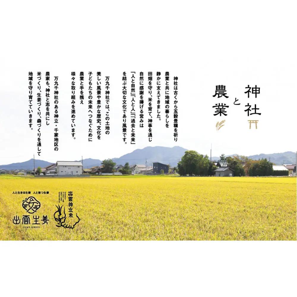 【2026年9月中旬以降発送】出雲神立米（つや姫 または きぬむすめ） 精米10kg　【品種選択不可】
