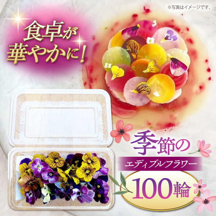 【ふるさと納税】季節のエディブルフラワー100輪おまかせ ▼ガーニッシュ 食用花 花 食べられる花 地域特産 装飾 料理 桂川町/NOGAMI　FARM[ADAU002] 9000 9000円