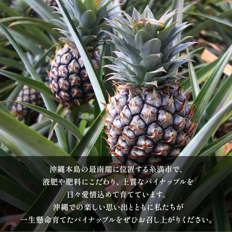 Nパイン2玉　自然の恵み詰まったパイナップル 172-2