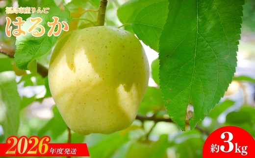 
                  No.1474 りんご「はるか」約3kg【2026年度発送】
                