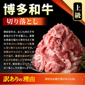 ＜訳アリ＞【A4～A5】博多和牛切り落とし(計5kg・500g×10P)国産 九州産 福岡県産 牛肉 和牛 黒毛和牛 お肉【MEAT PLUS】as08-042