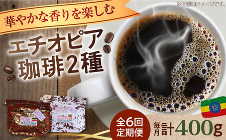 【全6回】エチオピアコーヒー2種 豆or粉 コーヒー[XBE055]