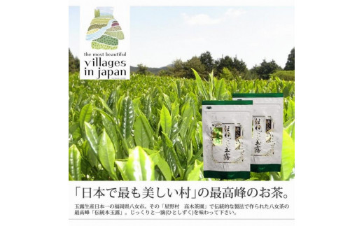 奥八女星野村　伝統本玉露[50g]×2袋【銘茶 福岡銘茶 お取り寄せ 茶 お茶 おちゃ 八女茶 人気 おすすめ ソフトドリンク 飲料 常温 福岡県大任町ふるさと納税 送料無料 AP021】