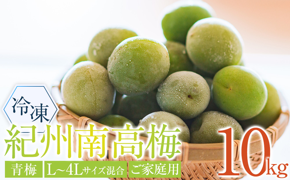 冷凍 紀州南高梅 青梅   約10kg   L～4Lサイズ混合 ご家庭用