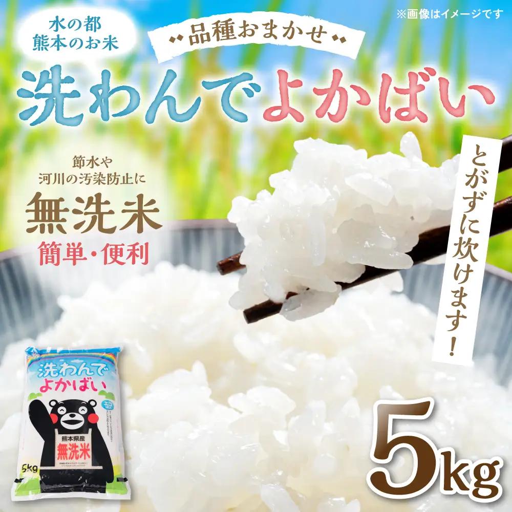 精米 《令和7年産》 洗わんでよかばい 5kg 精米 
