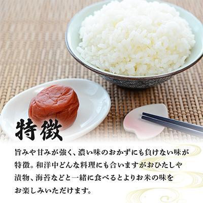 ふるさと納税 稲敷市 【令和7年産】稲敷市産「コシヒカリ」無洗米10kg(5kg×2p) |  | 02