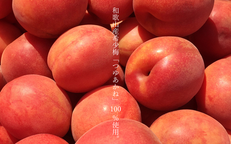 MIYAYOSHI BLACK LABEL　No.01 small bottle（B1024-2）