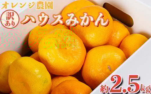 
【訳あり品】オレンジ農園のハウスみかん　約2.5kg みかん 柑橘 訳あり 先行予約 7月 8月 フルーツ ＜114-001_5＞
