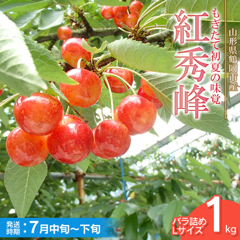 【令和8年産先行予約】紅秀峰 バラ詰め Lサイズ 1kg　もぎたて「初夏の味覚」さくらんぼ　丸忠農園