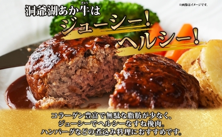 北海道産 あか牛 ハンバーグ用 ひき肉 計500g 小分け 和牛 お肉 牛肉 牛 挽肉 バーベキュー 肉汁 ジューシー ヘルシー コク 柔らかい 人気 ご褒美 ギフト お取り寄せ 産地直送 洞爺湖地場