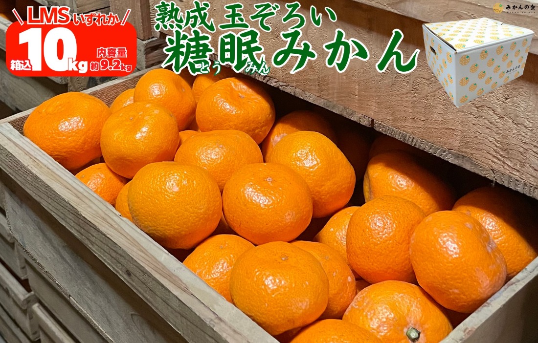 ［先行予約］熟成 みかん 箱込10kg ( 内容量 9.2kg ) SMLサイズのいずれか 秀品 優品 混合 和歌山県産 産地直送 贈答用 ［みかんの会］AX381
