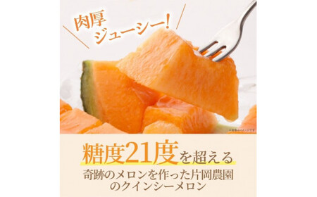 メロン めろん 糖度21度以上！奇跡の クインシーメロン 1玉 赤肉 人気 おすすめ クインシー 甘い 濃厚 高糖度 自家栽培 メロン 贈答用 贈り物 プレゼント 送料無料 片岡農園 クレストファーム