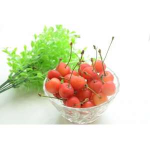 【2025年発送】フルーツ王国　信州中野産　さくらんぼ　紅秀峰　約1kg(約200g×5パック)【配送不可地域：離島】【1569922】