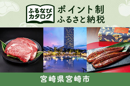 【有効期限なし！後からゆっくり特産品を選べる】宮崎県宮崎市カタログポイント