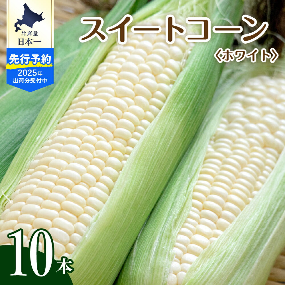 【ふるさと納税】【2025年産 先行予約】 北海道産 とうもろこし スイートコーン 10本 ホワイト 種 人気 キャンプ飯 BBQ アウトドア トウモロコシ とうきび コーン 甘い 野菜 白 北海道 十勝 芽室町 めむろ 送料無料 お取り寄せ 贈り物 ギフト 贈答 期間限定 先行受付
