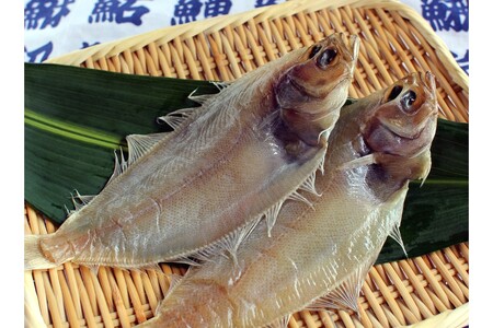 山陰浜田　創業大正１０年香住屋のこだわり干物「水かれい一夜干し」 魚介類 干物 おつまみ おかず カレイ 水かれい 一夜干し【1976】