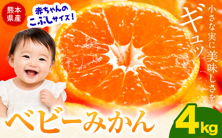 先行予約 ベビーみかん 4kg 旬 小玉 みかん《9月下旬-12月下旬頃出荷》熊本県 南関町 ご家庭用 熊本県産 S-3Sサイズ フルーツ 柑橘 温州みかん 早生 中生 晩生 ジュース ゼリー 訳あり 熊本