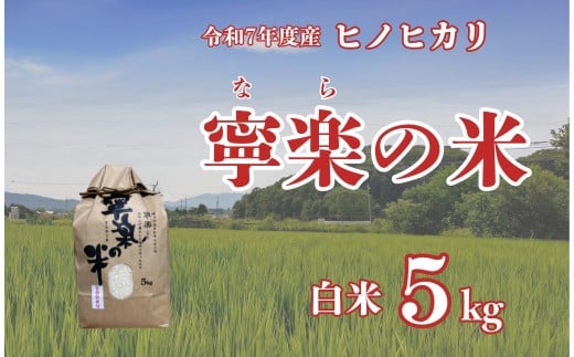 令和7年度 ヒノヒカリ 5㎏ 白米 お米 寧楽の米 ひのひかり 数量限定 米 ご飯 ごはん 米 おにぎり 国産 農家直送 とも農園 奈良県 奈良市