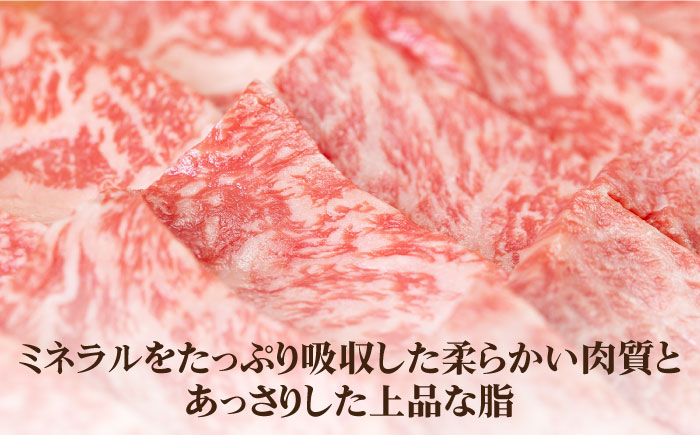 【全6回定期便】 《A4〜A5ランク》壱岐牛 モモ 600g（焼肉）《壱岐市》【壱岐市農業協同組合】 [JBO108] 肉 牛肉 モモ 焼肉 焼き肉 BBQ 赤身 定期便