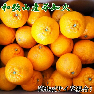 【ふるさと納税】 和歌山県産 不知火 約4kg （サイズ混合） ※2026年2月下旬～2026年4月中旬頃に順次発送予定（日付指定不可）