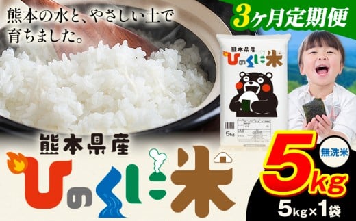 【3ヶ月定期便】 無洗米 ひのくに米 5kg 《お申込み翌月から出荷》 食品 米 こめ コメ 熊本県産 ふるさと納税 お米 おこめ 熊本