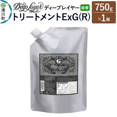 ふるさと納税 滑川町 ディープレイヤー トリートメント ExG 詰替 750g×1個|19_sss-290101