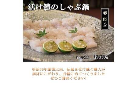 185 プレミア和歌山の辰ヶ鱧！鱧しゃぶセット２～３人前(B185-2)    