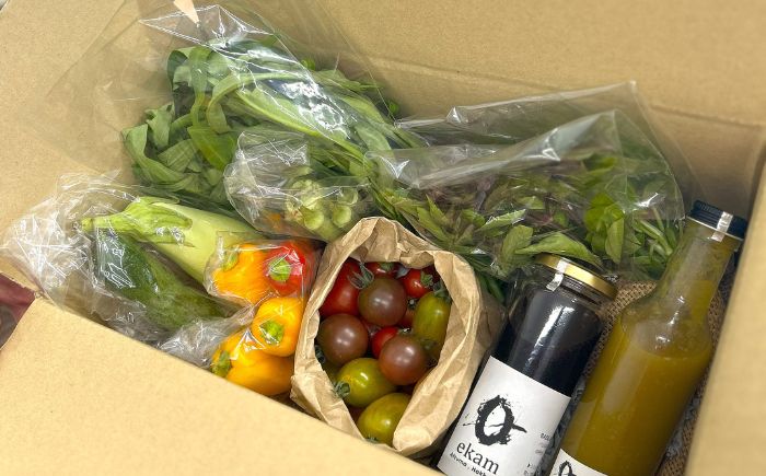 【年4回コース定期便】 「季節の有機野菜セット」2〜3人分 《厚真町》 【ekam】 [AXBV009]