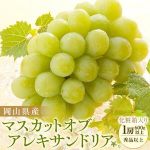 ぶどう 2026年 岡山県産 マスカットオブアレキサンドリア1房(600g以上・秀品以上) 化粧箱入り