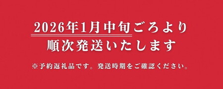 【数量限定】高級 完熟 京いちご 1箱 希少 お楽しみ【紅ほっぺ おいCベリー スターナイト から厳選してお届け】人気 小島農園 減農薬 果実 新鮮 フルーツ 旬 いちご 苺 有名 スイーツ店 御用達