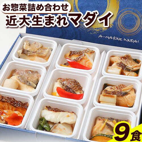 【ふるさと納税】レンジで簡単！ 近大生まれマダイ惣菜詰め合わせ 9食 アーマリン近大 《90日以内に出荷予定(土日祝除く)》和歌山県 日高町 鯛 真鯛 惣菜 レトルト 西京焼き 塩焼き 照り焼き 照焼 柚庵焼き 煮付け 味噌煮 焼き魚 おかず お弁当