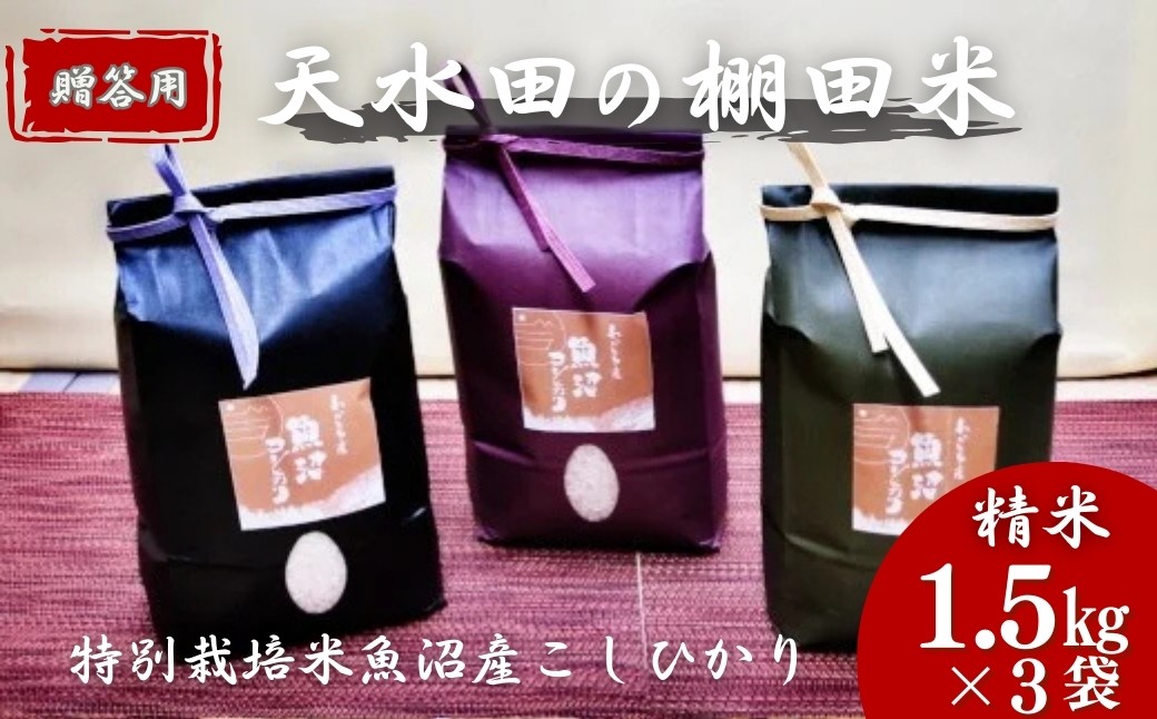 令和4年産 わかとち産 魚沼コシヒカリ特別栽培棚田米 贈答用1.5kg×3袋