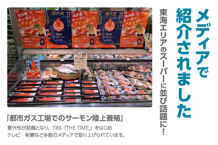 知多クールサーモン(スモークサーモン　100g×5パック） 数量限定 スモークサーモン 鮭 さけ 魚 海鮮 魚介類 おつまみ スモーク オードブル おかず 惣菜 お取り寄せ 冷凍 国産 燻製 愛知県 