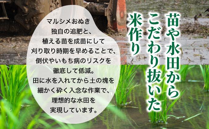 ◆R7年産◆ JGAP認証【おぬきさん家のゆめぴりか】5kg [ 3ヶ月定期便 ] ≪北海道伊達産≫ maru-005