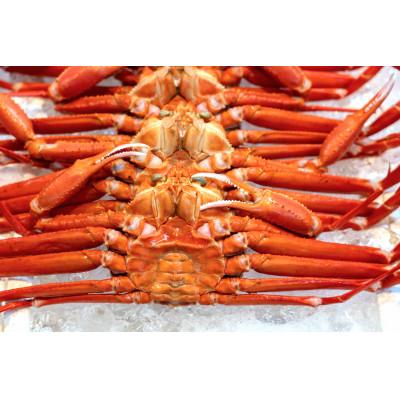 ふるさと納税 京丹後市 お手軽!絶品!プレミアム紅ズワイガニ甲羅盛　約130g×3個　 |  | 02