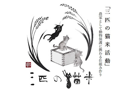 三匹の猫米/動物保護に携われる/特別栽培米 2kg×2