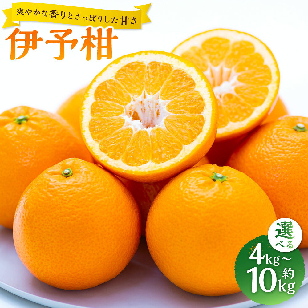 【ふるさと納税】伊予柑 M～2L混合＜選べる内容量＞【爽やかな香りとさっぱり甘さ】 約4kg / 約5kg / 約10kg 柑橘 かんきつ フルーツ くだもの 果物 果実 デザート 愛媛県産 国産 愛媛県 送料無料 【2027年1月上旬～2月下旬発送予定】（1081）（1082）（1083）