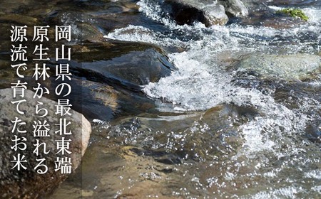 玄米 30kg 令和6年産 コシヒカリ 岡山 「おおがや米」生産組合 G-ad-ADZA