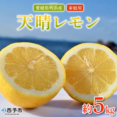 ふるさと納税 西予市 【先行受付】天晴レモン　ご家庭用　約5kg
