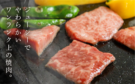 飛騨牛焼肉食べ比べセット（カルビ・ロース・もも・本日の希少部位　各320g）【11-37】