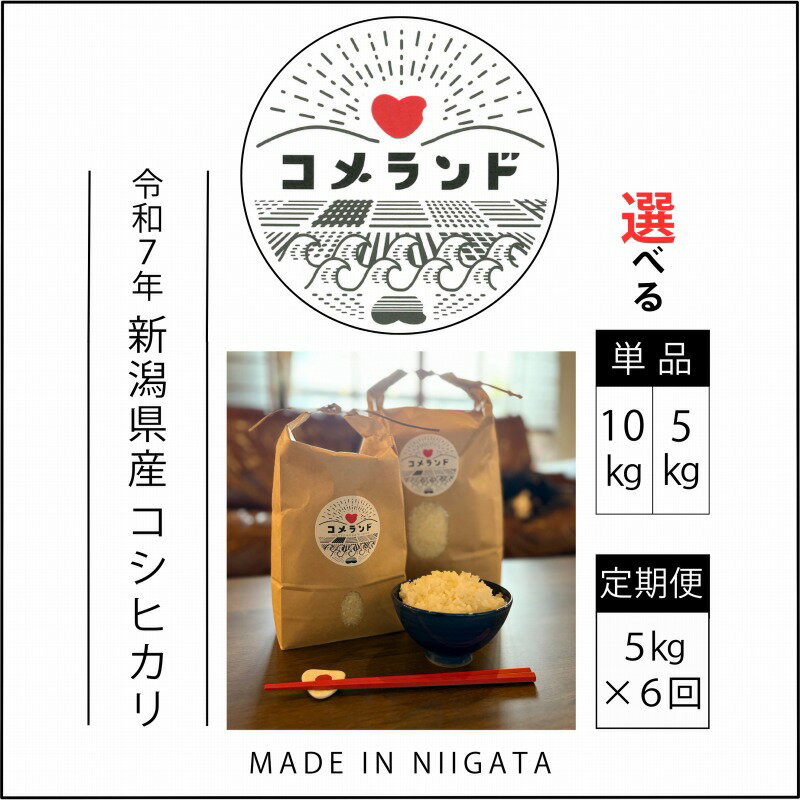 【ふるさと納税】令和7年産/先行予約　10月末より順次出荷/上越市産/コシヒカリ/容量と配送回数が選べる/新米/精米/新潟/米/新潟県/板倉区/こしひかり/限定/おすすめ　お届け：2025年10月下旬から